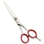 Razor Edge Hair Dressing Scissors AL-310