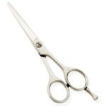 Standard Hair Dressing Scissors AL-202
